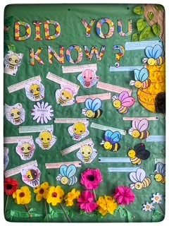 A bulletin board decorated with cartoon bees, flowers, and fun facts under the heading “Did You Know?” on a green background.