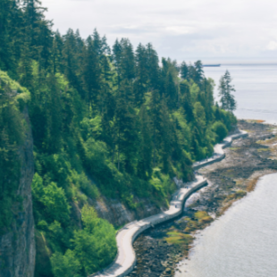 An aerial view of a winding paved path along a rocky coastline next to a lush, green, forested cliff face, with the ocean stretching out to the right.